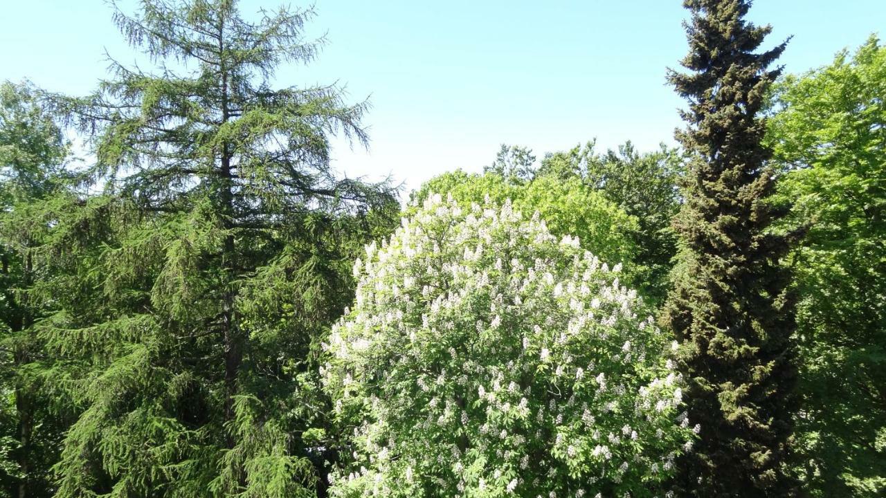 Waldschloss Parow Koserow Bagian luar foto